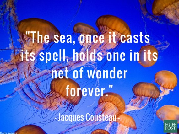 11 Quotes About The Ocean That Remind Us To Protect It Huffpost