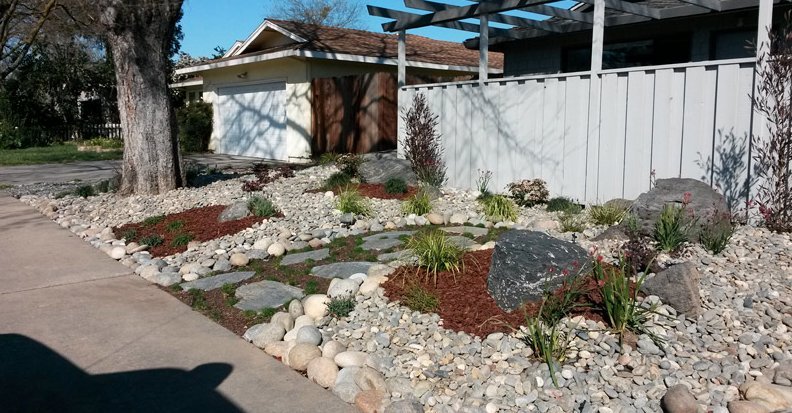 Some Landscapers Are Helping Drought-Stricken California By Ripping Out