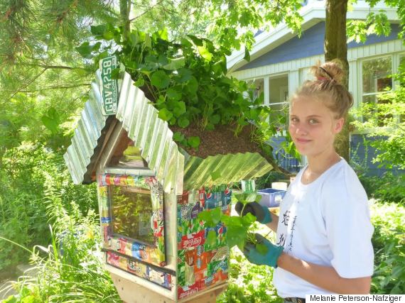 little free library