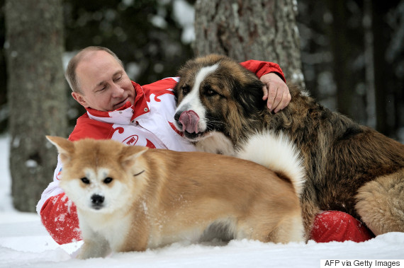 putin dog