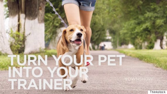 own ownshow 10 minute workout pet