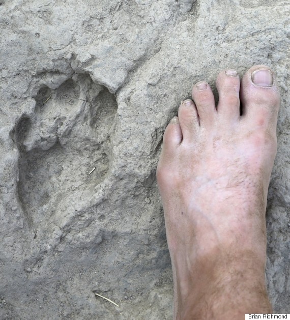 footprint