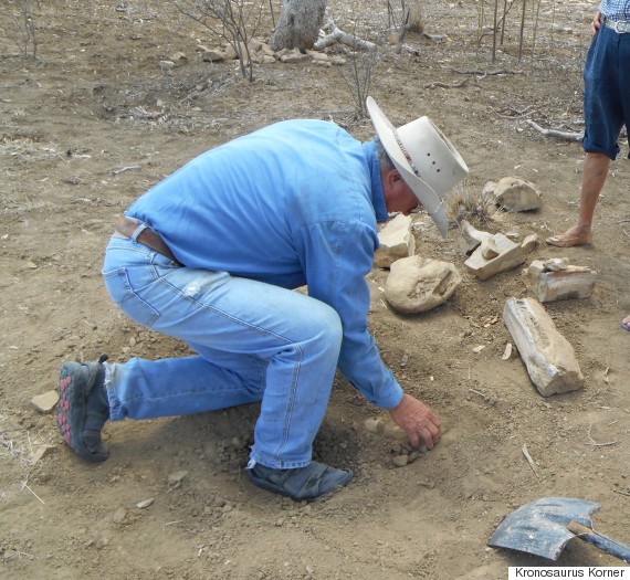 kronosaurus found