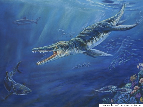 kronosaurus found