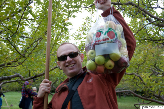 apple pick