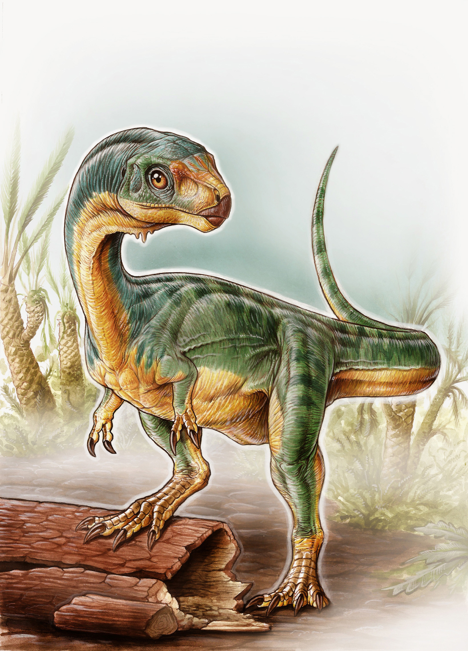 Newly discovered dinosaur had tiny arms like T. rex