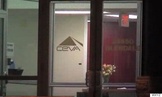 ceva