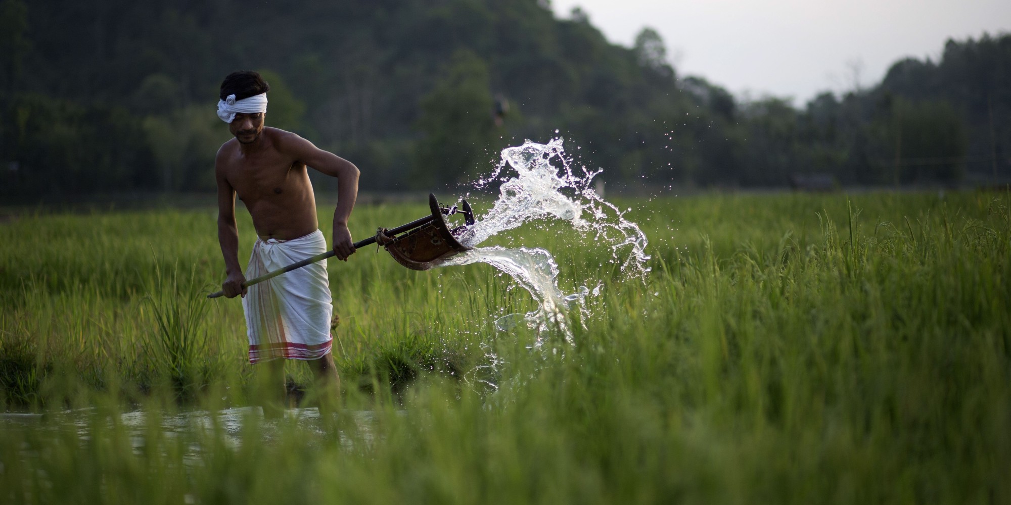 Сделай все фото. Indian Farmer. Happy indian Farmers. Indian Farmer body. Farmer ft 19031.