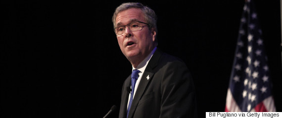 jeb bush