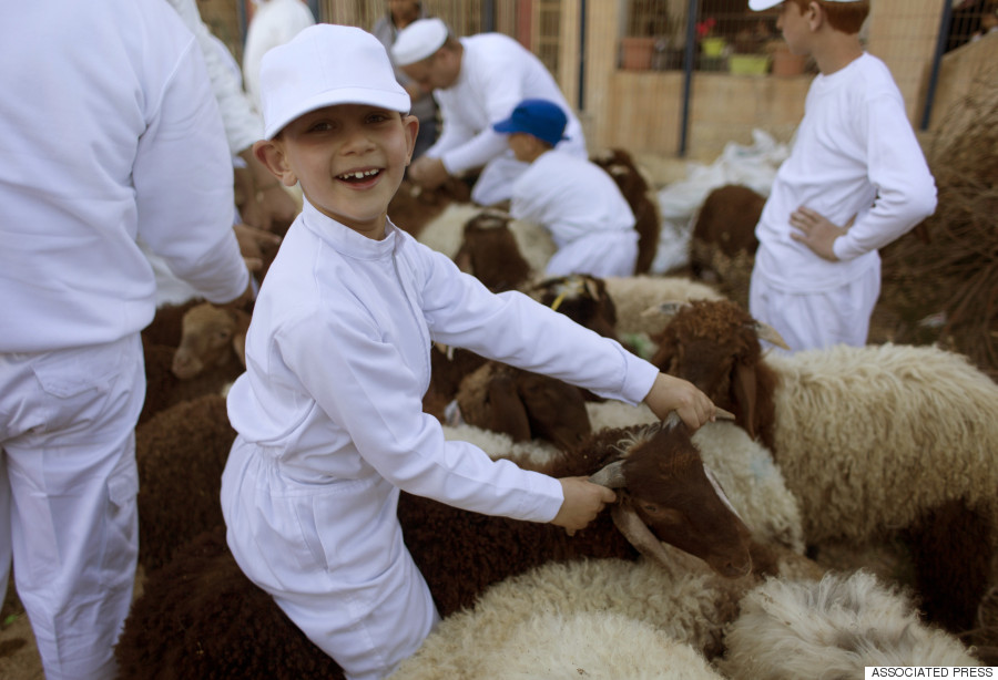 samaritan nablus 2015