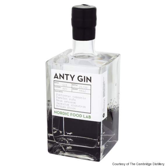 ant gin