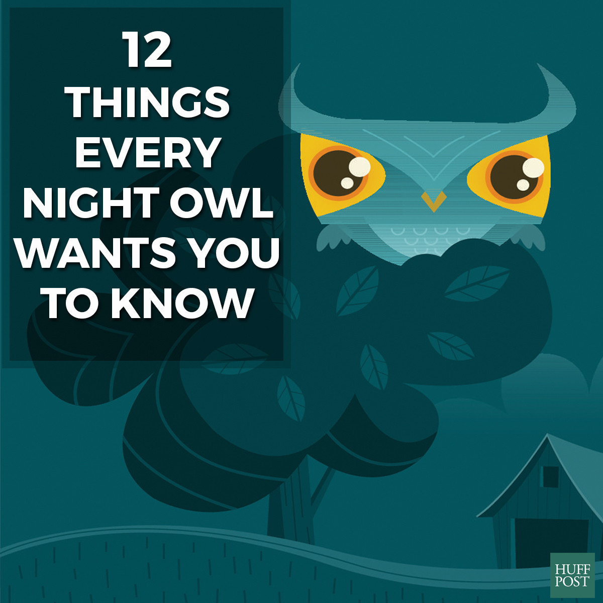 night owl