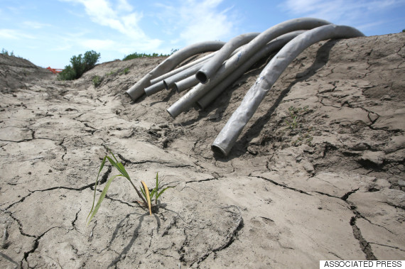 california drought water cuts