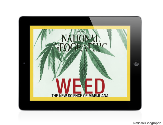 ipad weed cover