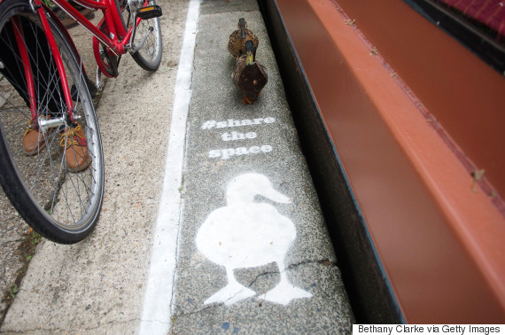 duck lanes london