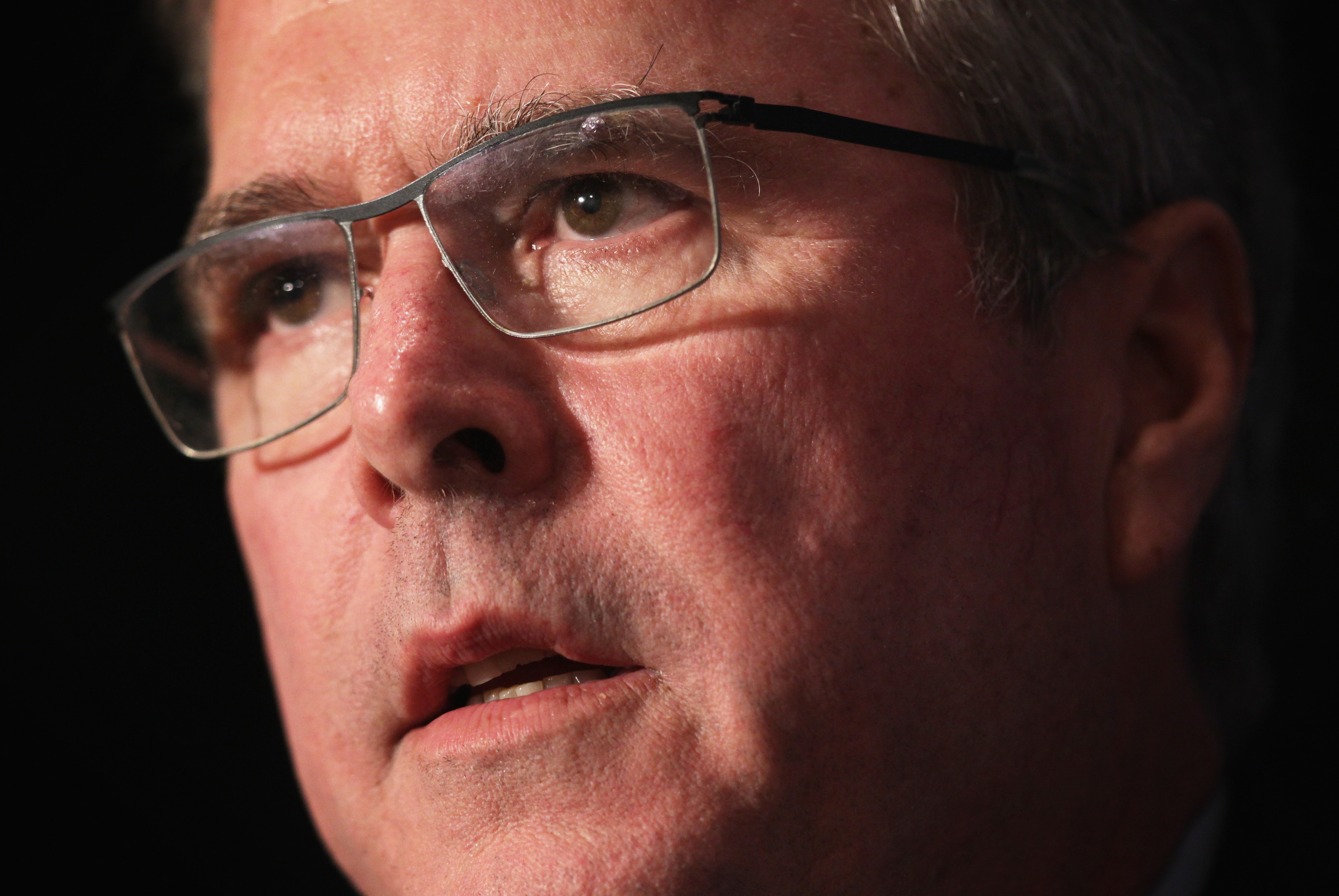 jeb bush