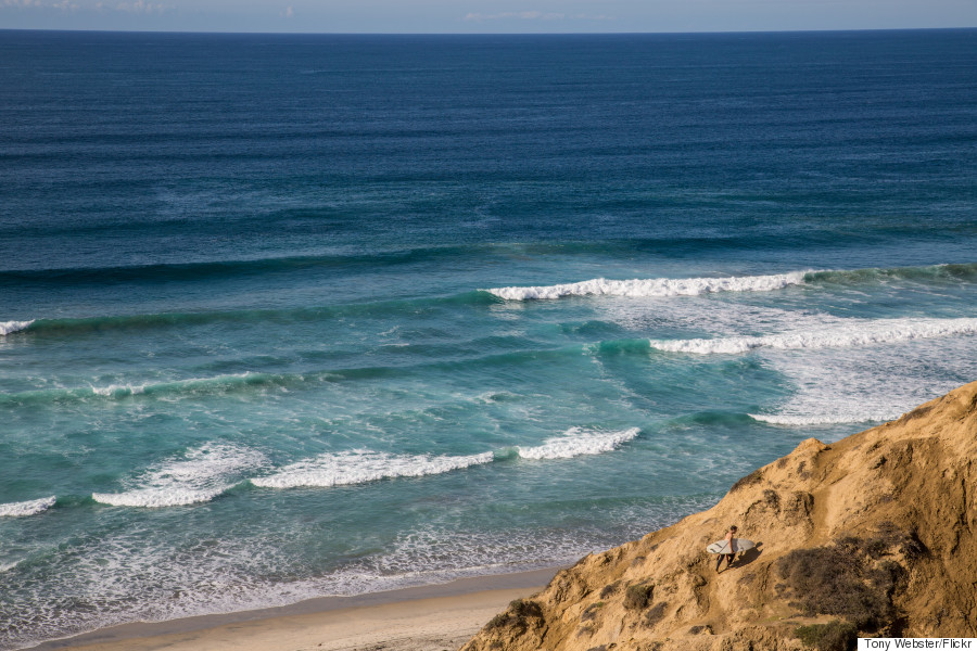 blacks beach san diego