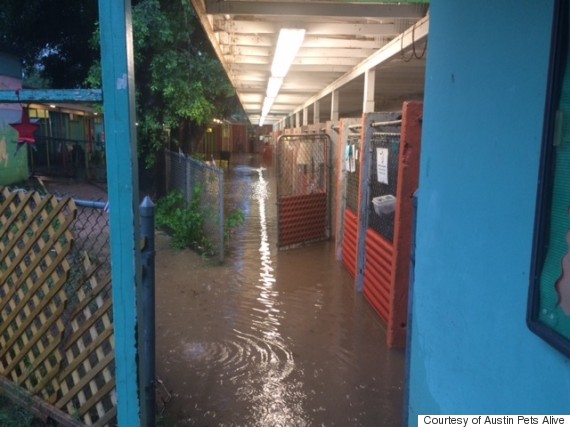 austin flooding