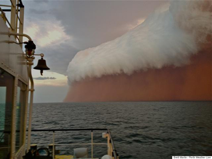 red wave australia