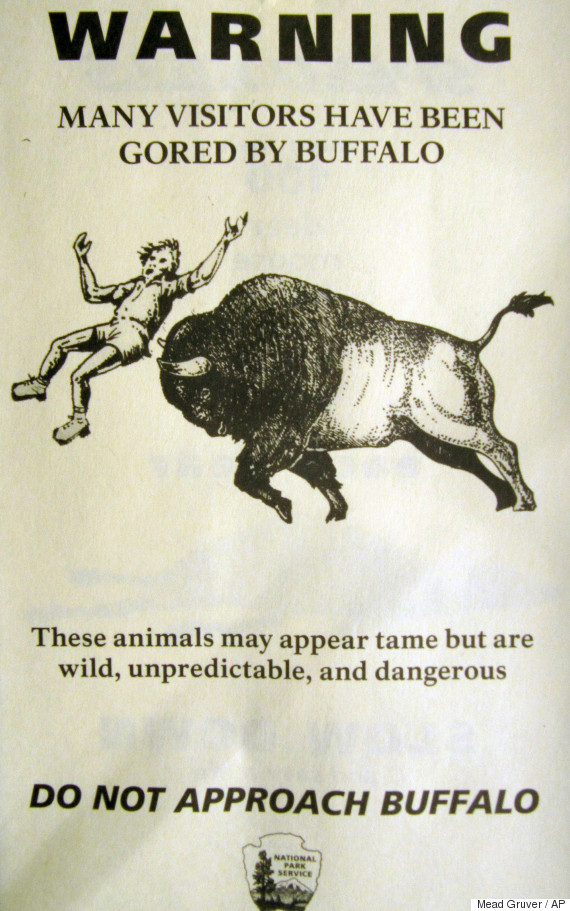 bison warning