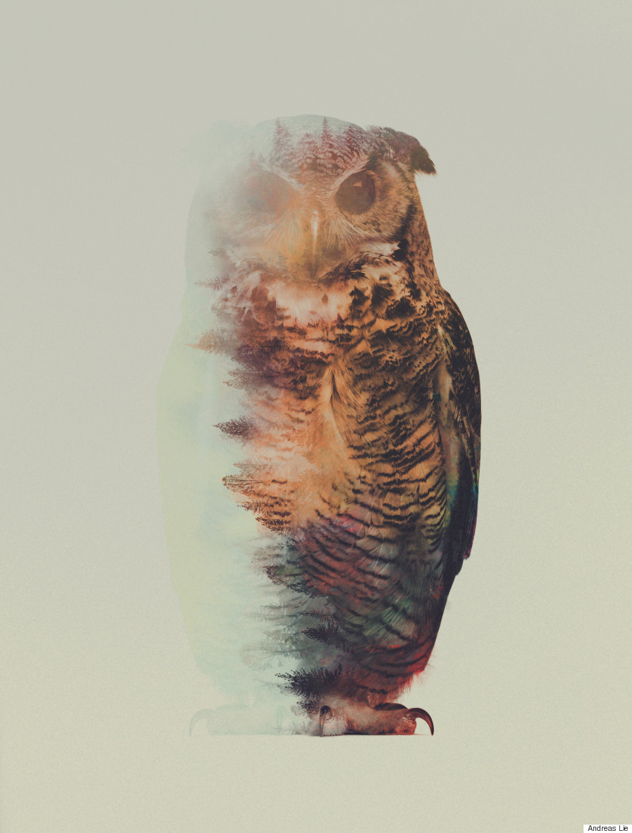 owle
