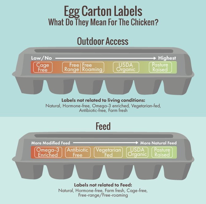 all-those-confusing-egg-carton-labels-explained-in-one-infographic-huffpost