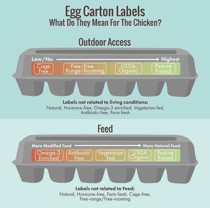 All Those Confusing Egg Carton Labels Explained In One Infographic 