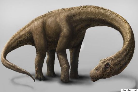 dreadnoughtus