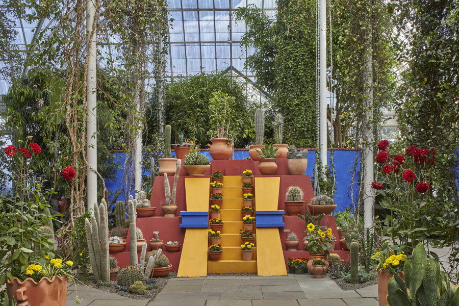 frida kahlo garden