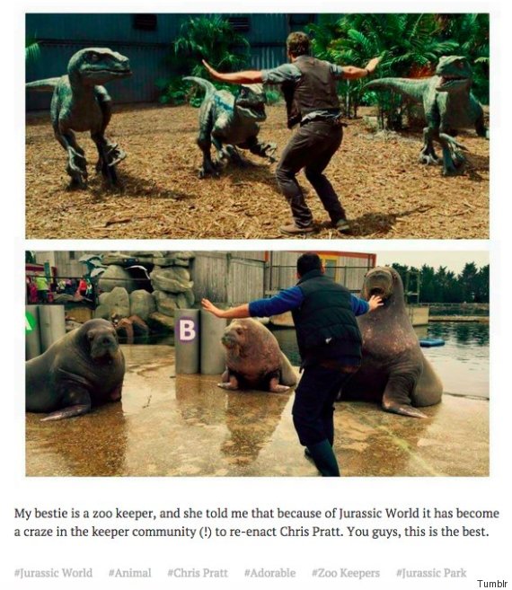 walrus prattkeeping