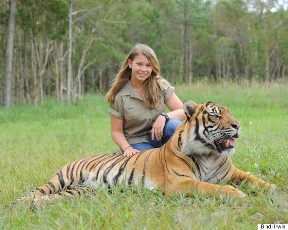 bindi irwin