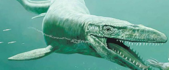 Mosasaur Fossils Found In Manitoba: T-Rex Of The Sea