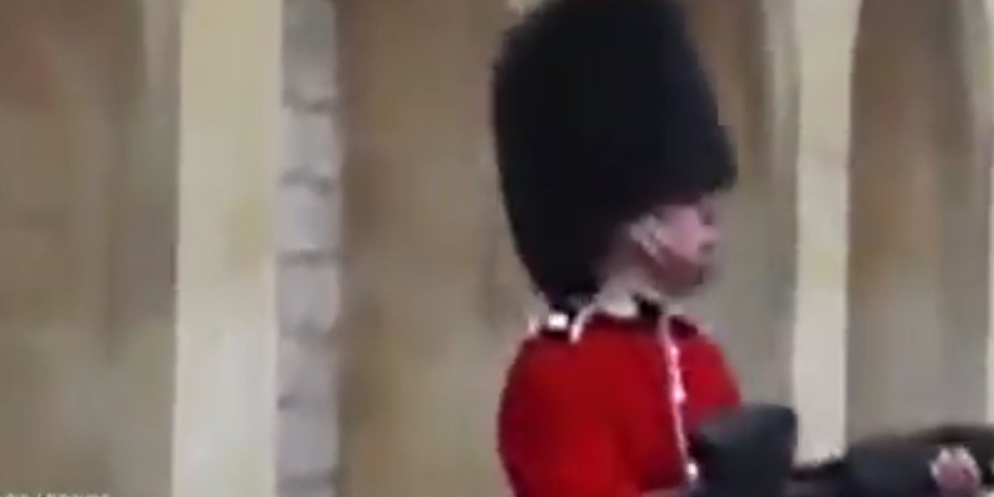 Queen's Guard Points Gun And Bayonet At Tourist Who Touches Him ...