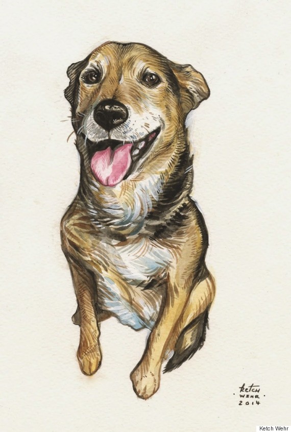 pet portrait 4