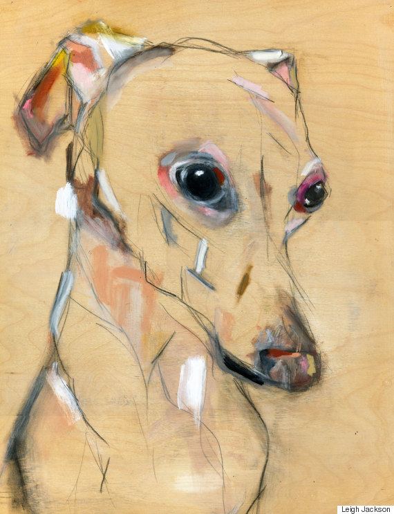 pet portrait 8