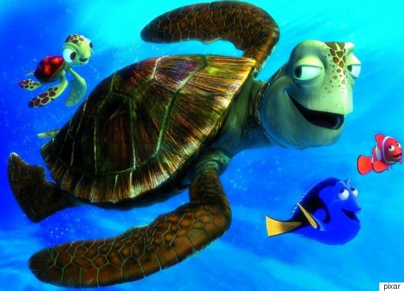 'Finding Nemo' Turtle Dons Go Pro For A Swim Through The Great Barrier Reef