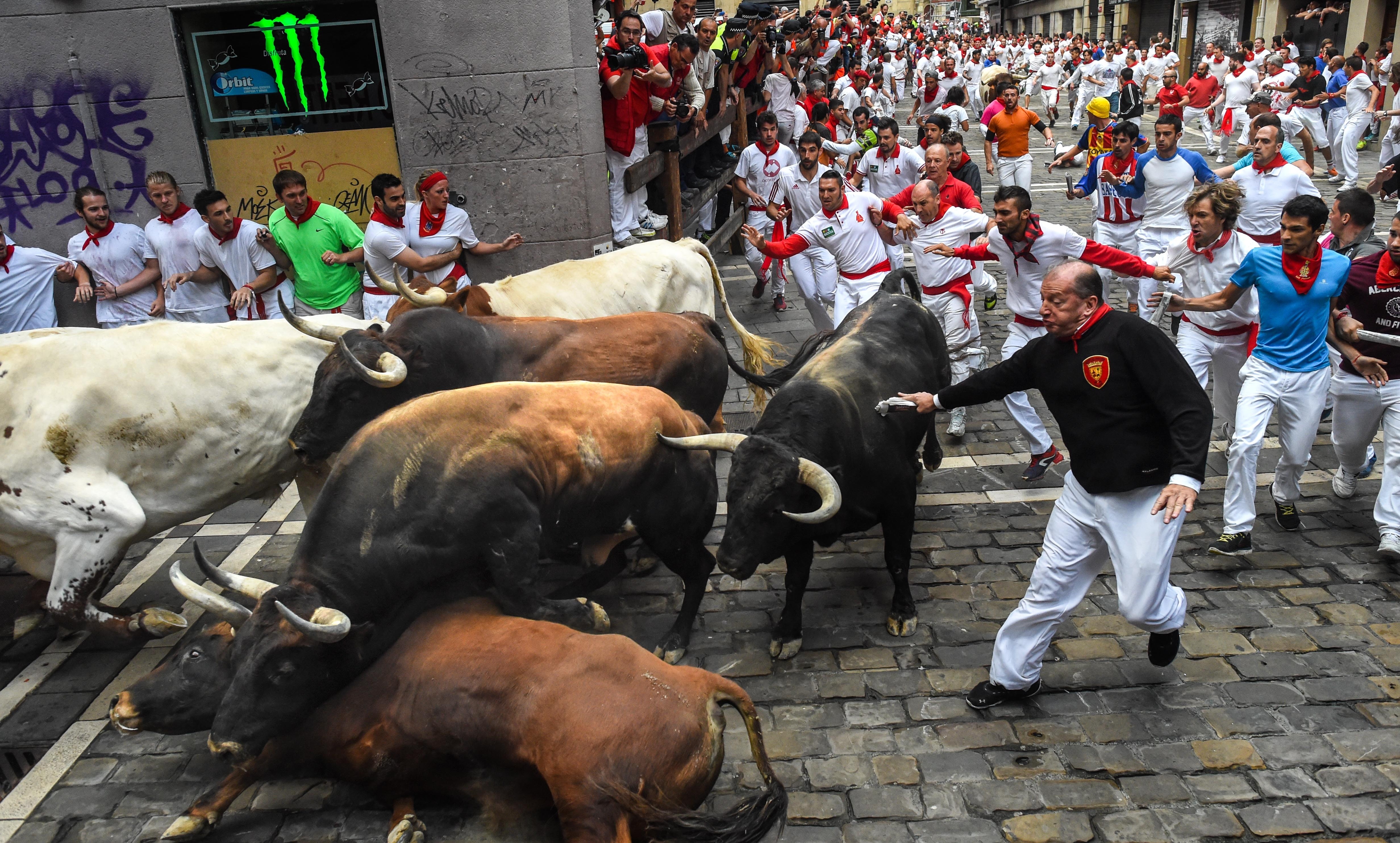 People Aren't The Only Ones Getting Hurt At The Running Of The Bulls