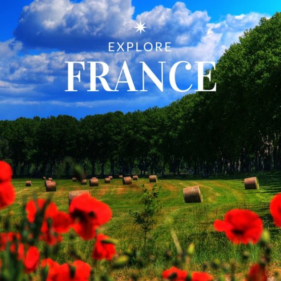 france canva