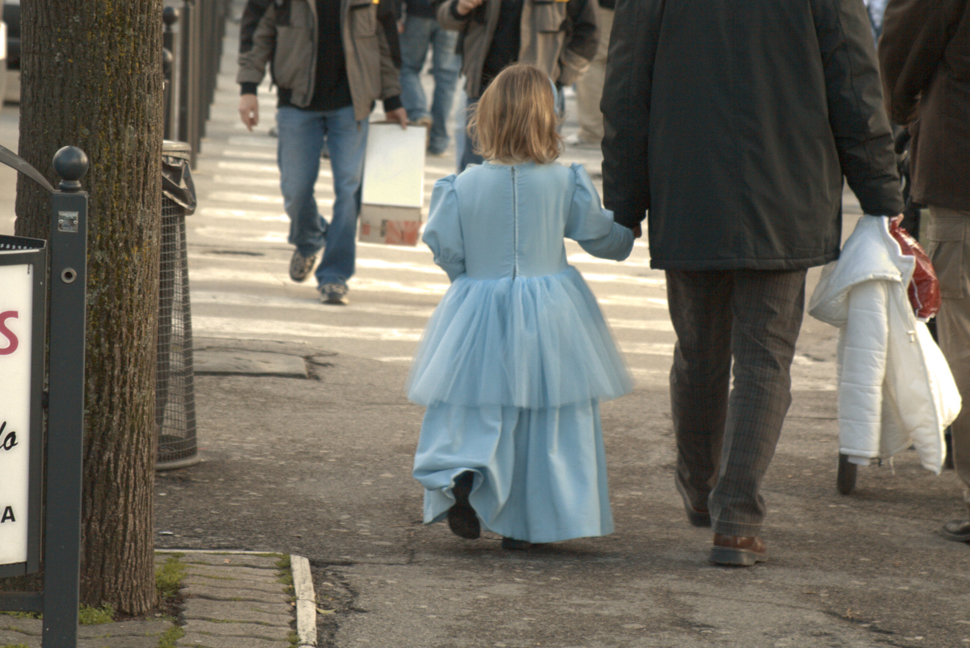 little girl princess dress