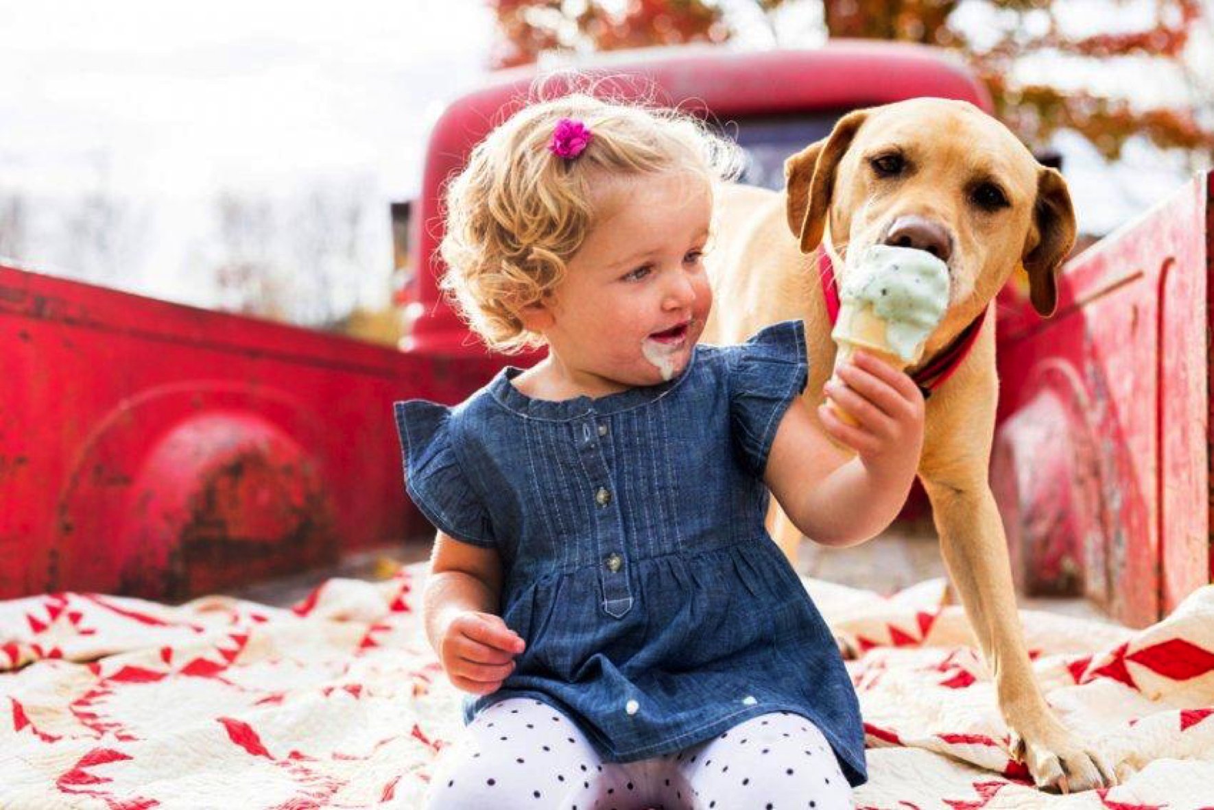 girl feeding ice cream to dog