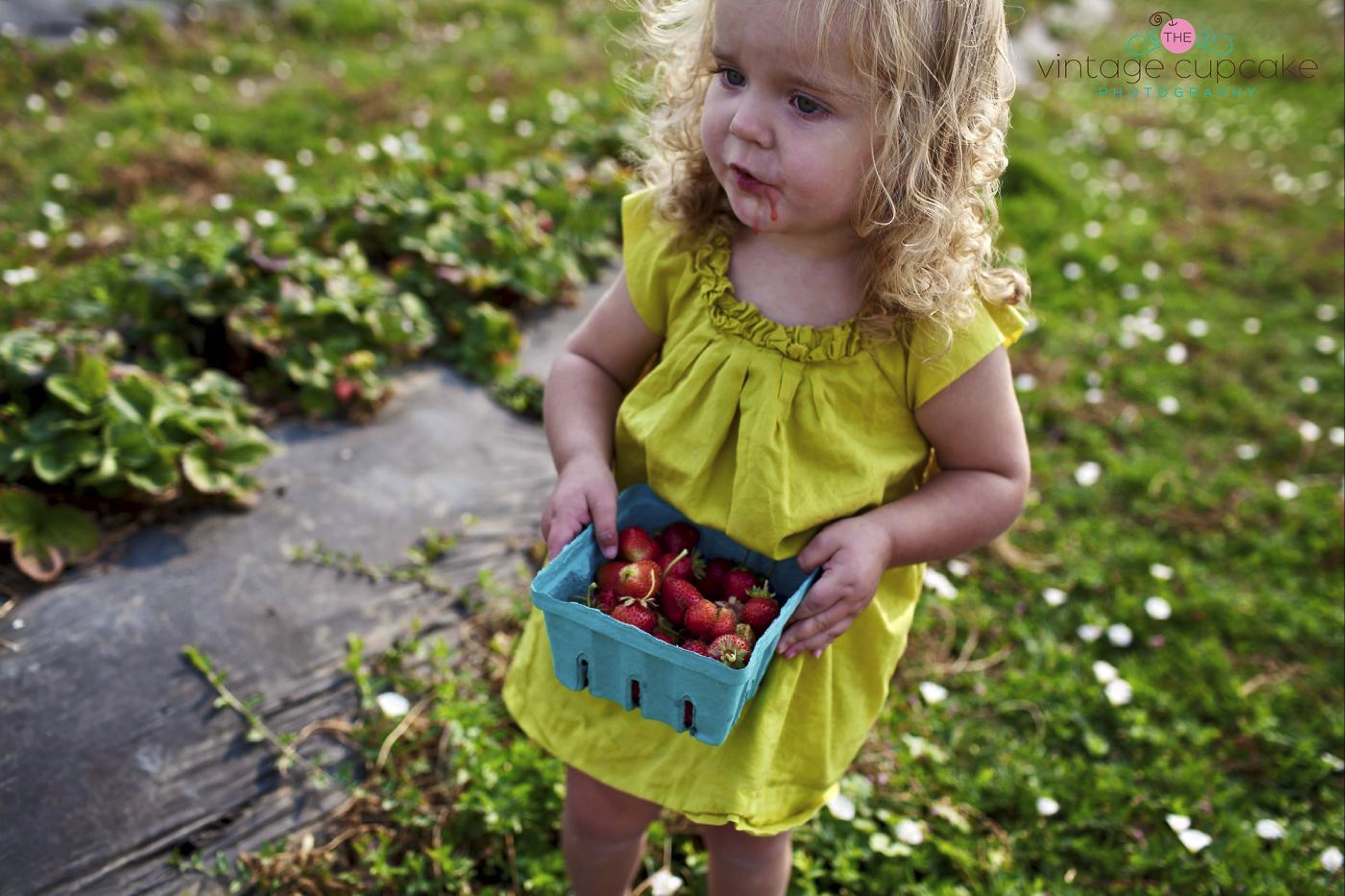 girl picking strawberries