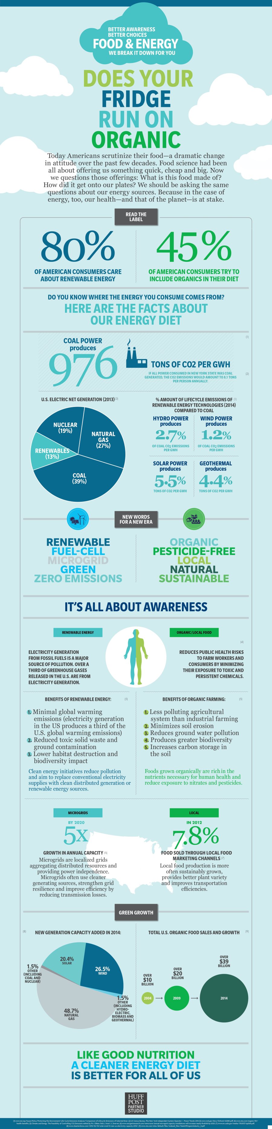 energy infographic