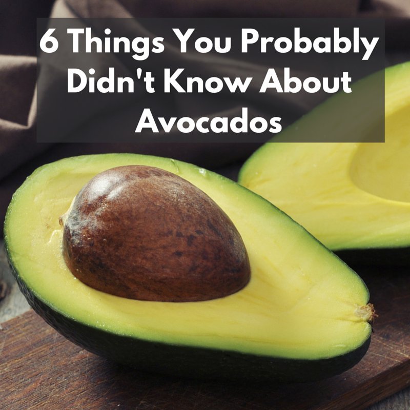 6 Things You Probably Didn T Know About Avocados Huffpost Life