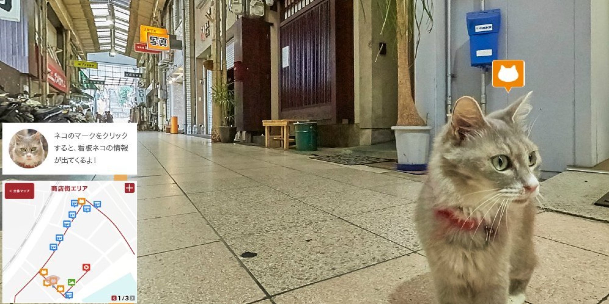 Google Street View For Cats? Japan Pilots Unique New Online Maps ...