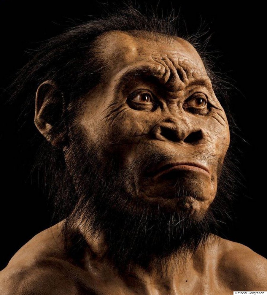 breaking: new extinct human species discovered in south africa