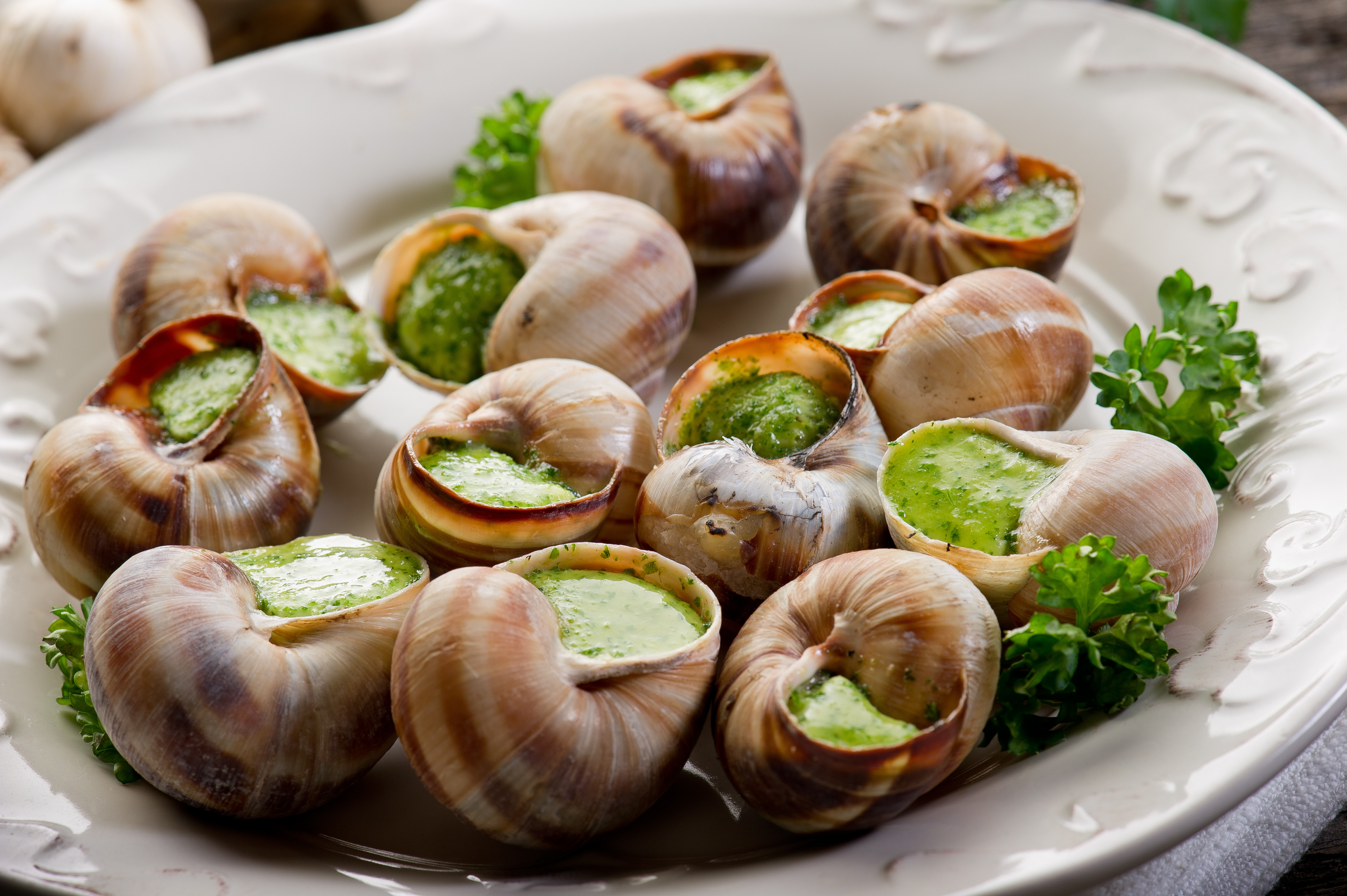 escargot