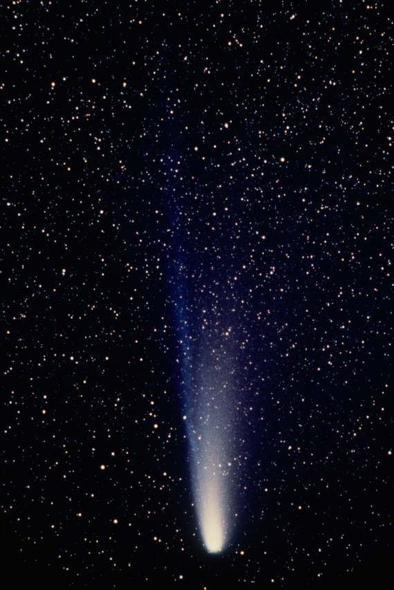 hally comet