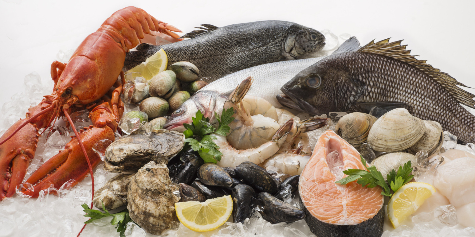 Почему хочу рыбу. Рыбные продукты. Морская рыба и морепродукты. Морепродукты на белом фоне. Морепродукты сырые.