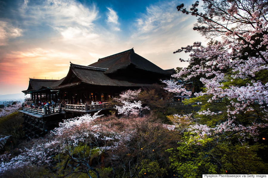 japan temple cherry