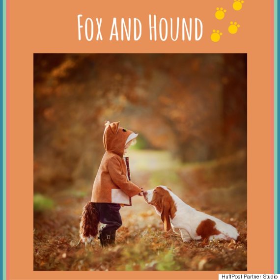 fox and hound